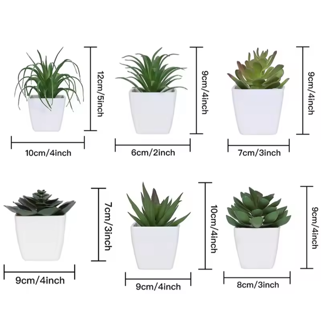 Bureau plantje. Per stuk