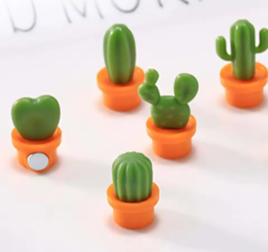 Mini koelkastmagneet cactus. Set 3 stuks